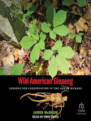 cover image of Wild American Ginseng